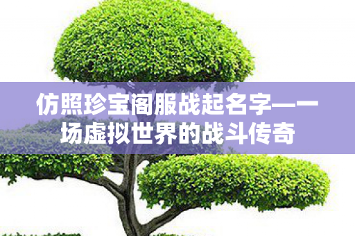 仿照珍宝阁服战起名字—一场虚拟世界的战斗传奇 仿照珍宝阁服战起名字—一场虚拟世界的战斗传奇