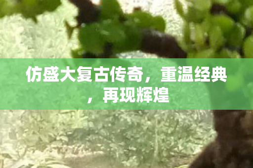 仿盛大复古传奇,重温经典,再现辉煌 仿盛大复古传奇,重温经典,再现辉煌