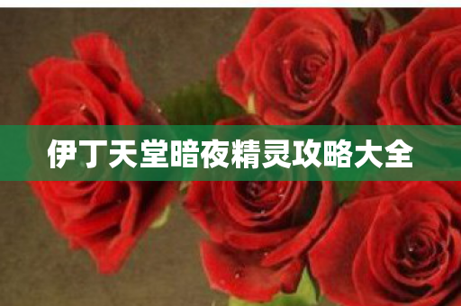 伊丁天堂暗夜精灵攻略大全 伊丁天堂暗夜精灵攻略大全