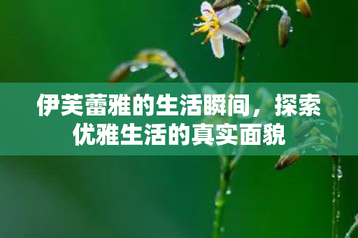 伊芙蕾雅的生活瞬间,探索优雅生活的真实面貌 伊芙蕾雅的生活瞬间,探索优雅生活的真实面貌