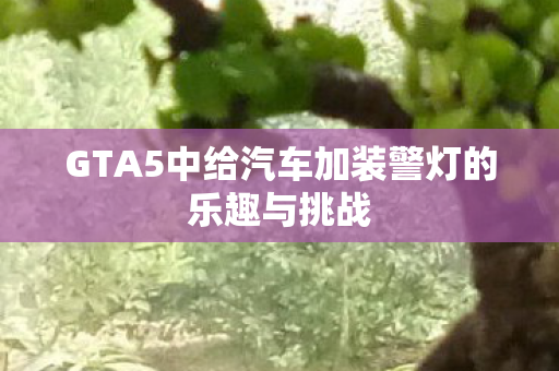GTA5中给汽车加装警灯的乐趣与挑战 GTA5中给汽车加装警灯的乐趣与挑战