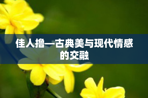 佳人撸—古典美与现代情感的交融 佳人撸—古典美与现代情感的交融