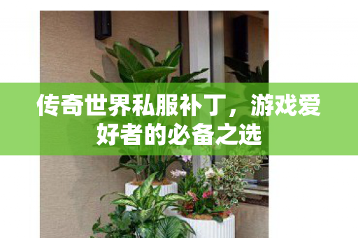 传奇世界私服补丁,游戏爱好者的必备之选 传奇世界私服补丁,游戏爱好者的必备之选