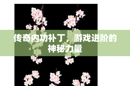 传奇内功补丁,游戏进阶的神秘力量 传奇内功补丁,游戏进阶的神秘力量