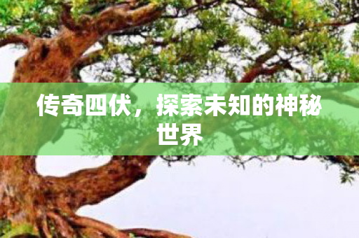 传奇四伏,探索未知的神秘世界 传奇四伏,探索未知的神秘世界