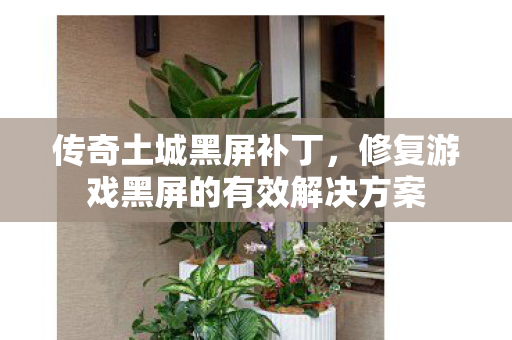 传奇土城黑屏补丁，修复游戏黑屏的有效解决方案