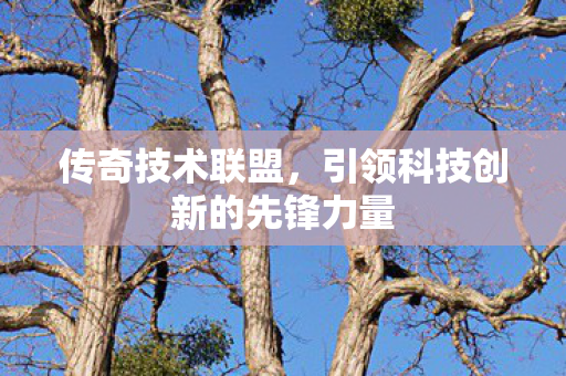 传奇技术联盟,引领科技创新的先锋力量 传奇技术联盟,引领科技创新的先锋力量