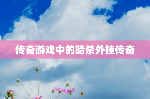 传奇游戏中的暗杀外挂传奇 传奇游戏中的暗杀外挂传奇