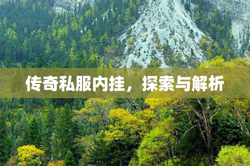 传奇私服内挂，探索与解析