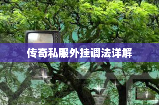 传奇私服外挂调法详解 传奇私服外挂调法详解