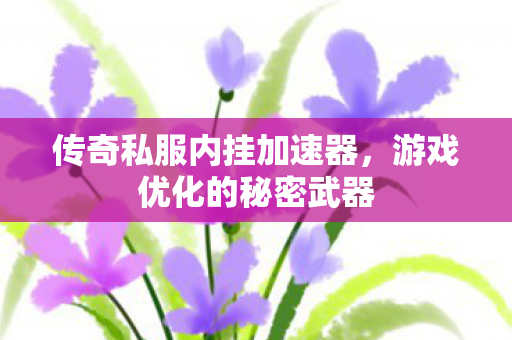 传奇私服内挂加速器,游戏优化的秘密武器 传奇私服内挂加速器,游戏优化的秘密武器
