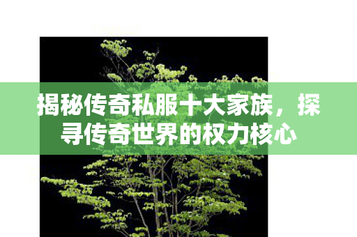 揭秘传奇私服十大家族,探寻传奇世界的权力核心 揭秘传奇私服十大家族,探寻传奇世界的权力核心