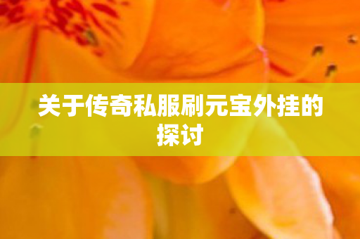关于传奇私服刷元宝外挂的探讨 关于传奇私服刷元宝外挂的探讨