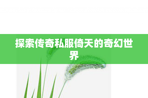 探索传奇私服倚天的奇幻世界 探索传奇私服倚天的奇幻世界