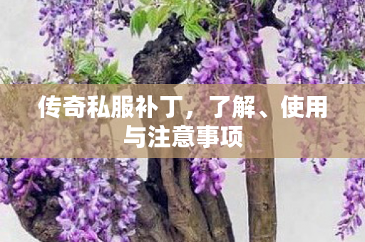 传奇私服补丁，了解、使用与注意事项