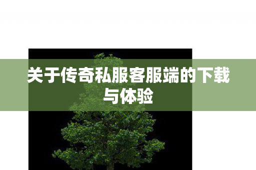 关于传奇私服客服端的下载与体验 关于传奇私服客服端的下载与体验