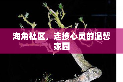 海角社区,连接心灵的温馨家园 海角社区,连接心灵的温馨家园
