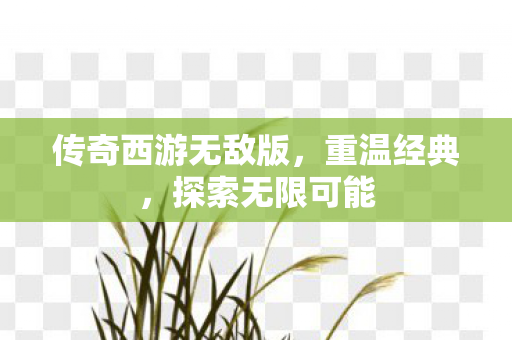 传奇西游无敌版,重温经典,探索无限可能 传奇西游无敌版,重温经典,探索无限可能