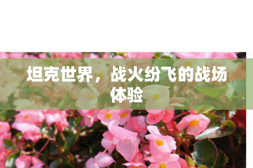 坦克世界,战火纷飞的战场体验 坦克世界,战火纷飞的战场体验