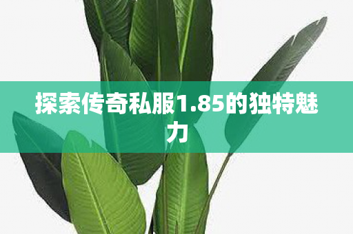 探索传奇私服1.85的独特魅力