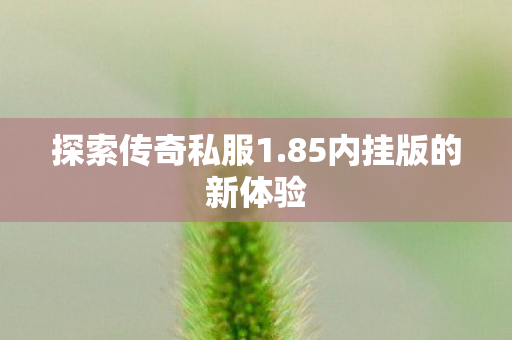 探索传奇私服1.85内挂版的新体验 探索传奇私服1.85内挂版的新体验
