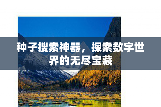 种子搜索神器,探索数字世界的无尽宝藏 种子搜索神器,探索数字世界的无尽宝藏