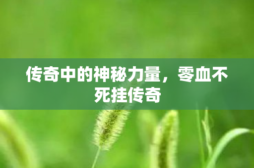 传奇中的神秘力量,零血不死挂传奇 传奇中的神秘力量,零血不死挂传奇