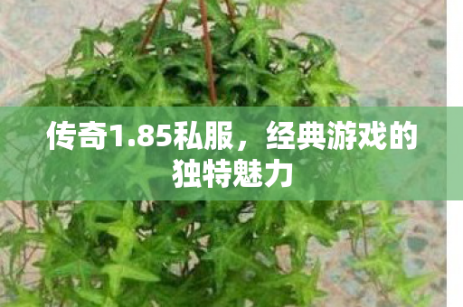 传奇1.85私服,经典游戏的独特魅力 传奇1.85私服,经典游戏的独特魅力