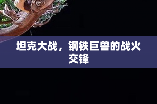 坦克大战，钢铁巨兽的战火交锋