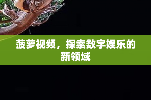 菠萝视频，探索数字娱乐的新领域