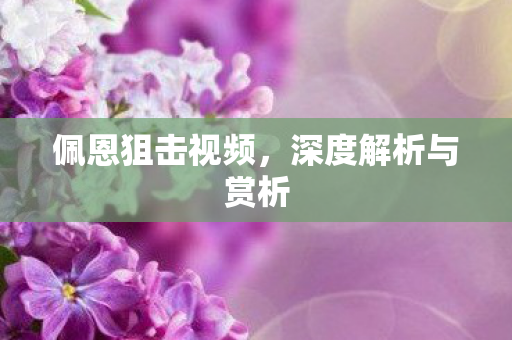 佩恩狙击视频,深度解析与赏析 佩恩狙击视频,深度解析与赏析