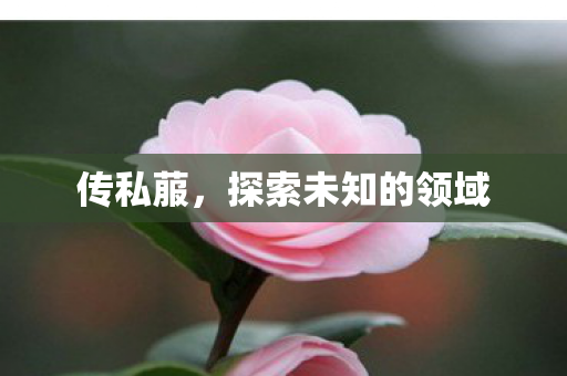 传私菔,探索未知的领域 传私菔,探索未知的领域