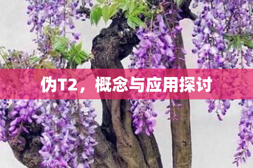 伪T2,概念与应用探讨 伪T2,概念与应用探讨