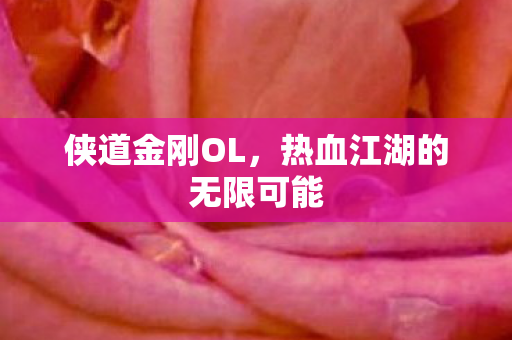 侠道金刚OL,热血江湖的无限可能 侠道金刚OL,热血江湖的无限可能