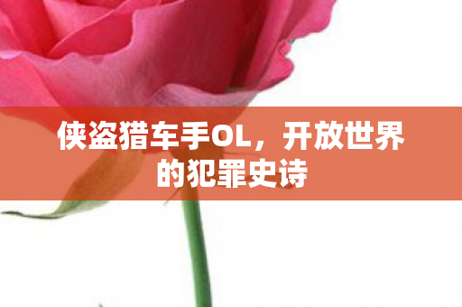 侠盗猎车手OL,开放世界的犯罪史诗 侠盗猎车手OL,开放世界的犯罪史诗