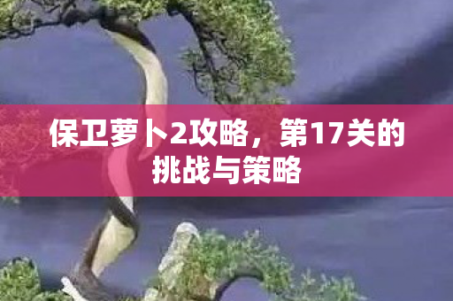 保卫萝卜2攻略,第17关的挑战与策略 保卫萝卜2攻略,第17关的挑战与策略