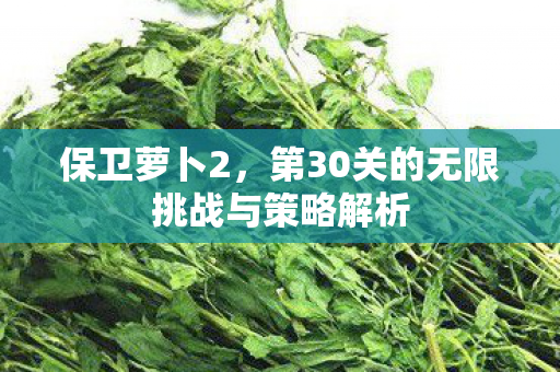 保卫萝卜2,第30关的无限挑战与策略解析 保卫萝卜2,第30关的无限挑战与策略解析