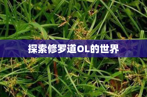 探索修罗道OL的世界 探索修罗道OL的世界