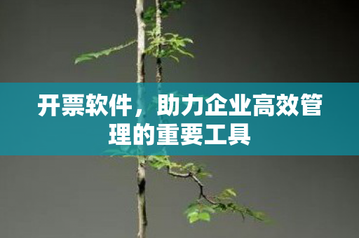 开票软件,助力企业高效管理的重要工具 开票软件,助力企业高效管理的重要工具