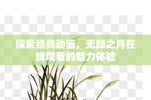 探索经典动画，无颜之月在线观看的魅力体验