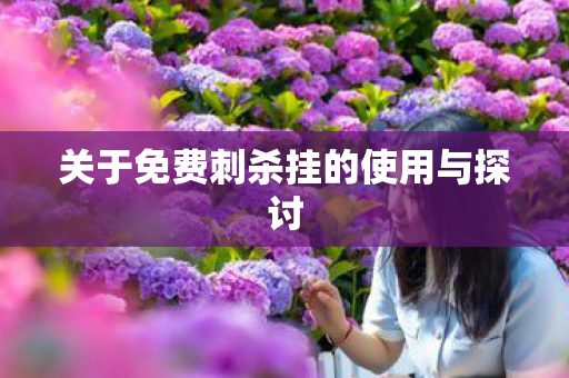 关于免费刺杀挂的使用与探讨 关于免费刺杀挂的使用与探讨