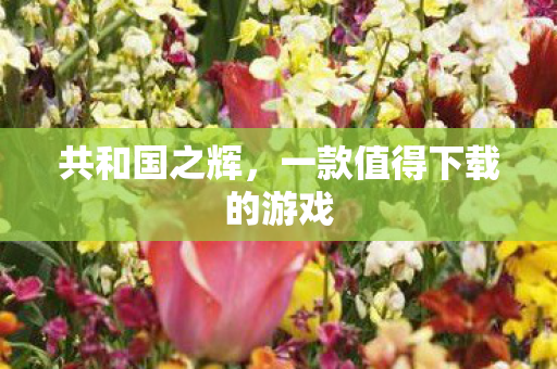 共和国之辉，一款值得下载的游戏