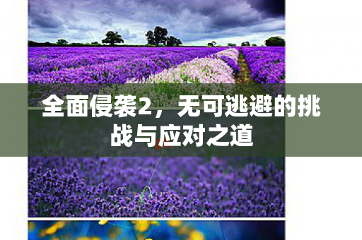 全面侵袭2,无可逃避的挑战与应对之道 全面侵袭2,无可逃避的挑战与应对之道
