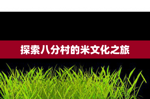 探索八分村的米文化之旅 探索八分村的米文化之旅