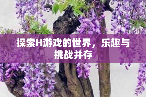 探索H游戏的世界,乐趣与挑战并存 探索H游戏的世界,乐趣与挑战并存
