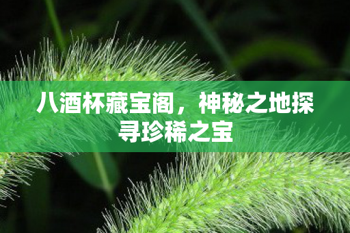 八酒杯藏宝阁,神秘之地探寻珍稀之宝 八酒杯藏宝阁,神秘之地探寻珍稀之宝
