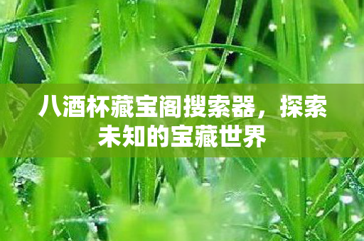 八酒杯藏宝阁搜索器,探索未知的宝藏世界 八酒杯藏宝阁搜索器,探索未知的宝藏世界