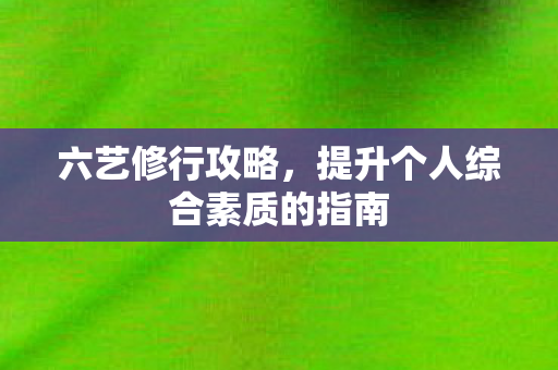 六艺修行攻略,提升个人综合素质的指南 六艺修行攻略,提升个人综合素质的指南