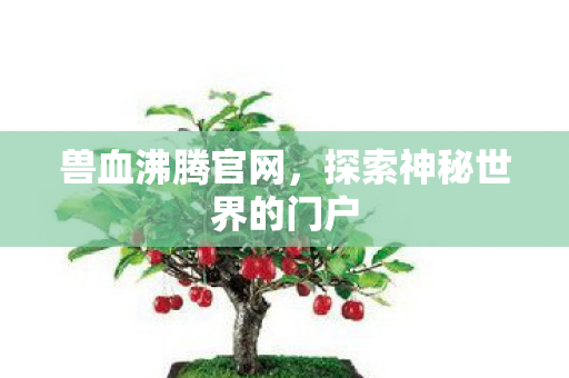 兽血沸腾官网，探索神秘世界的门户