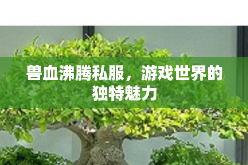 兽血沸腾私服,游戏世界的独特魅力 兽血沸腾私服,游戏世界的独特魅力